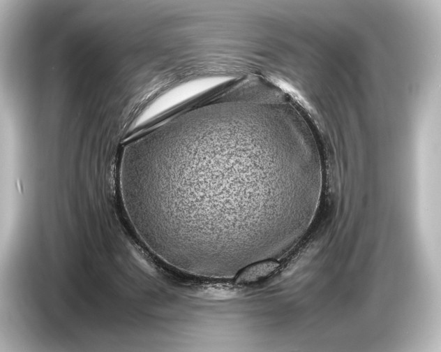 X0000087050489200705021159