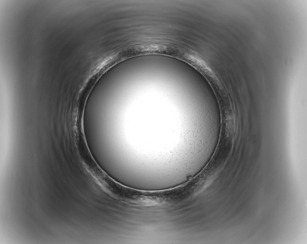 X0000087050490200705021159