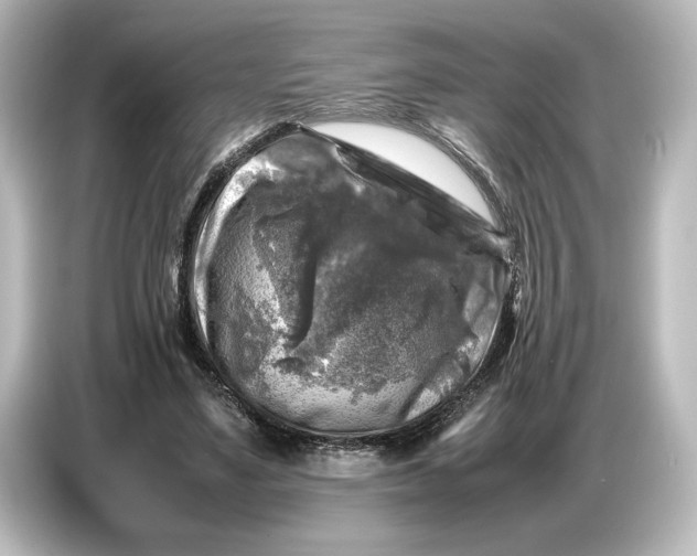 X0000087050491200705021159