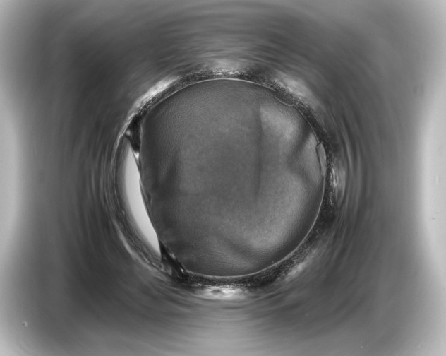 X0000087050492200705021159