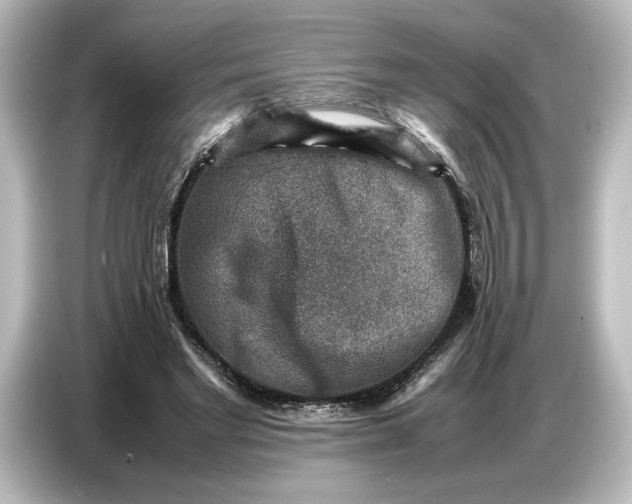 X0000087050493200705021159