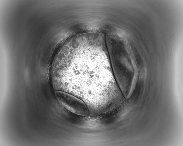 X0000087050495200705021159