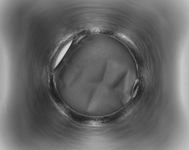 X0000087050496200705021159