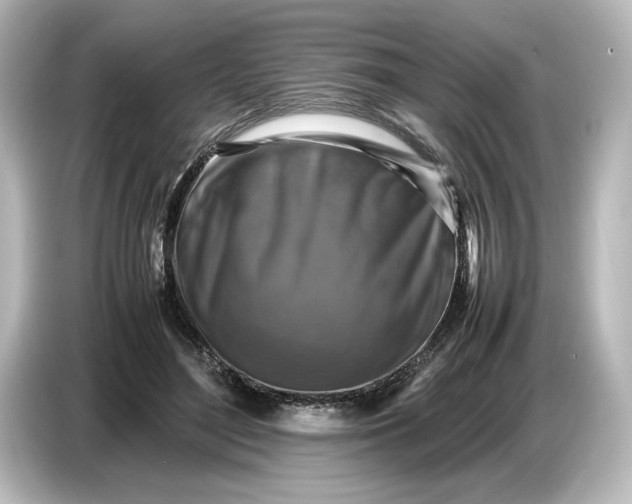 X0000087050500200705021159