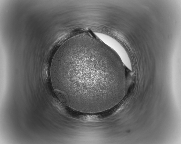 X0000087050501200705021159