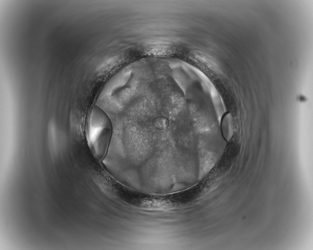 X0000087050503200705021159