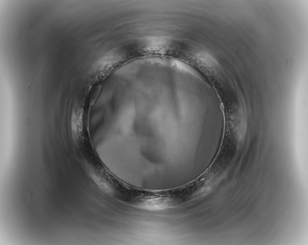 X0000087050504200705021159