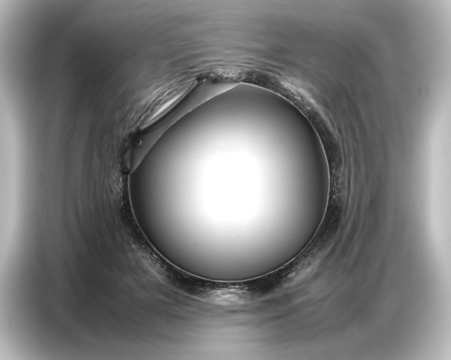 X0000087050505200705021159