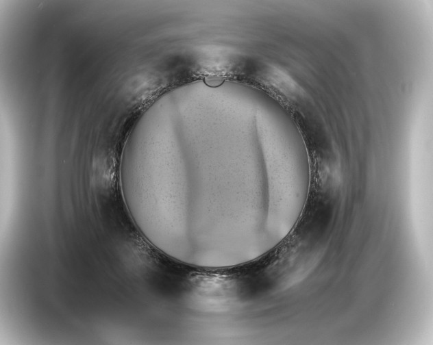 X0000087050507200705021159