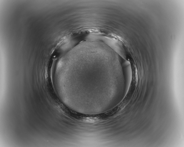 X0000087050508200705021159