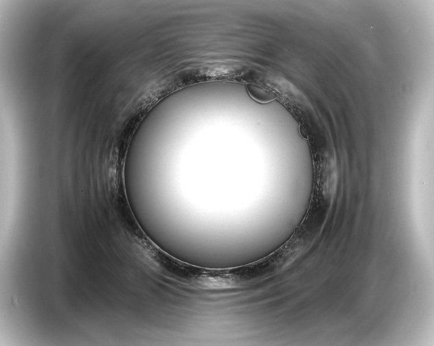 X0000087050510200705021159