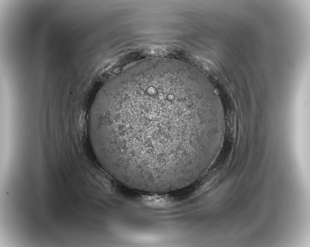 X0000087050511200705021159