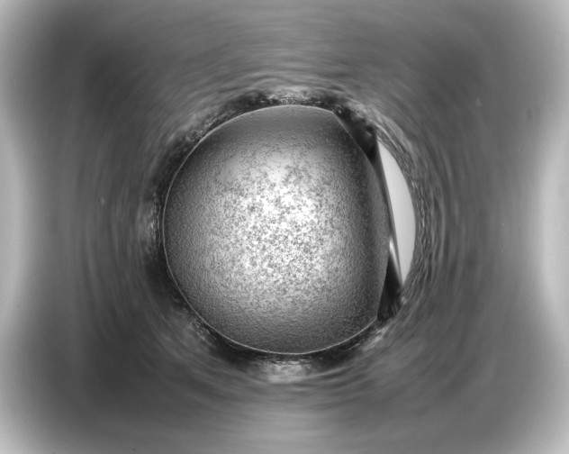 X0000087050513200705021159