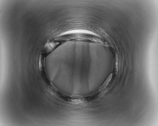 X0000087050516200705021159