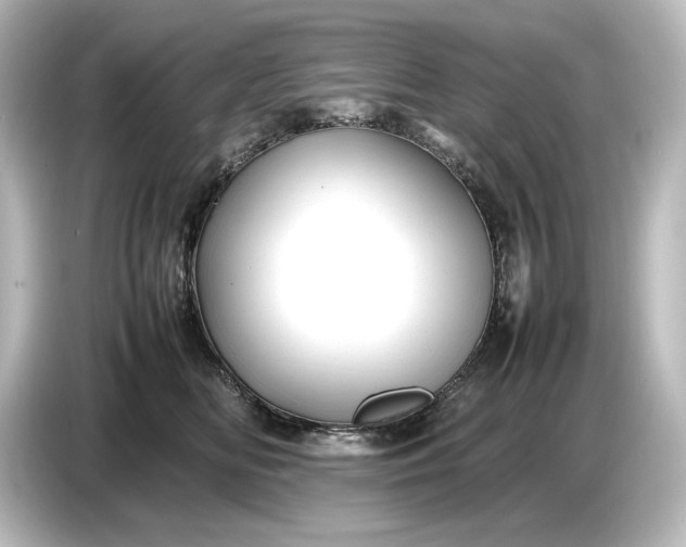 X0000087050518200705021159