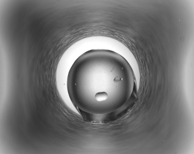 X0000087050519200705021159