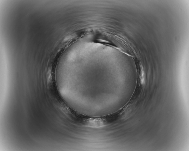 X0000087050520200705021159