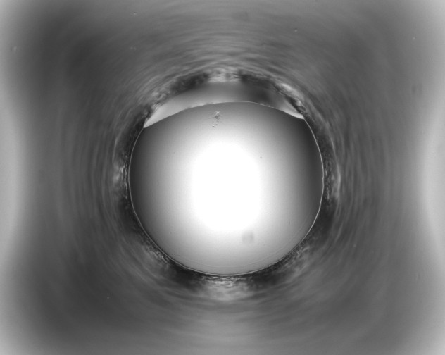 X0000087050521200705021159