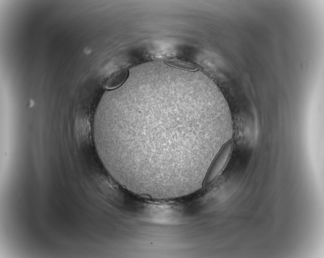 X0000087050523200705021159