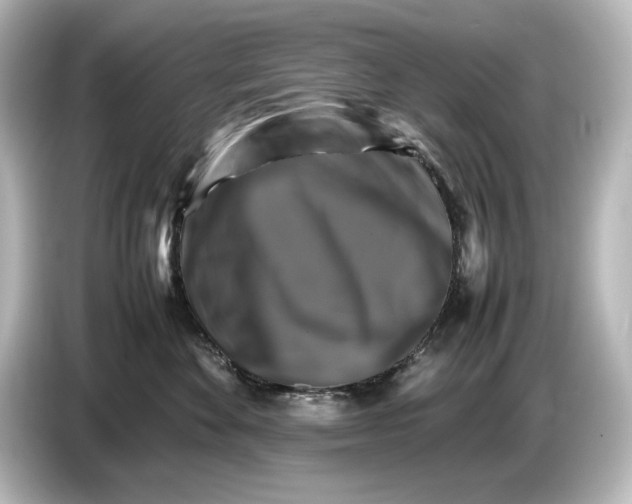 X0000087050524200705021159