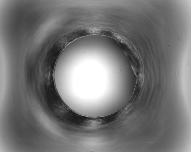 X0000087050525200705021159