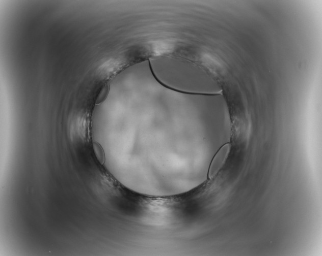 X0000087050527200705021159