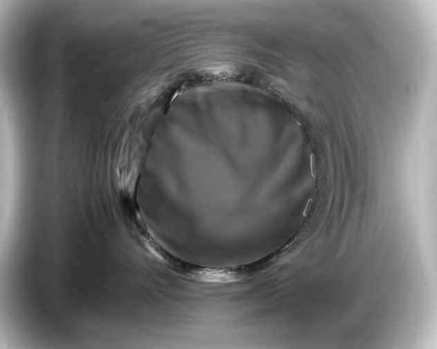 X0000087050528200705021159