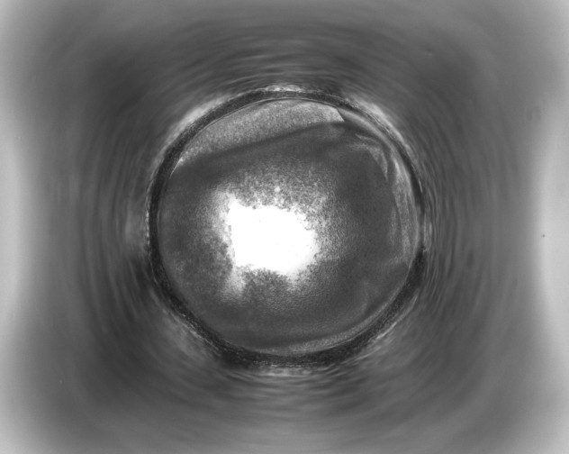 X0000087050531200705021158