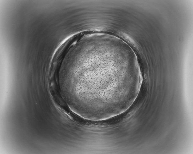 X0000087050532200705021158