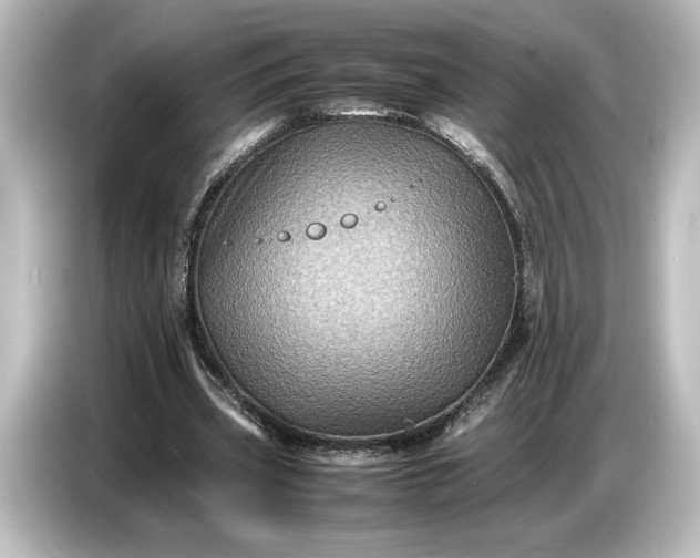 X0000087050533200705021158