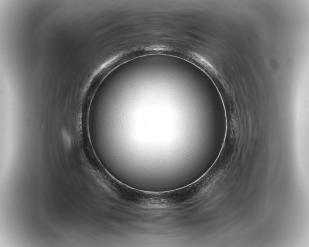 X0000087050535200705021158