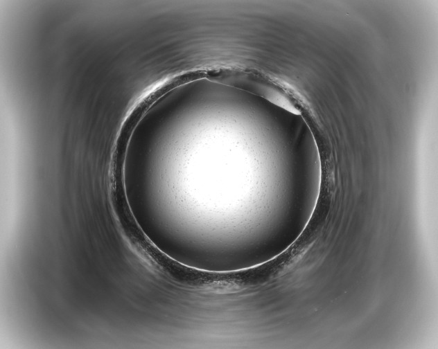 X0000087050536200705021158