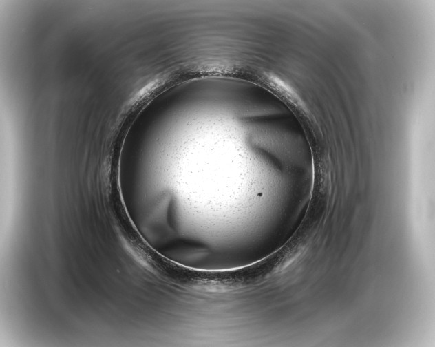 X0000087050538200705021158