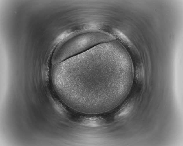 X0000087050540200705021158