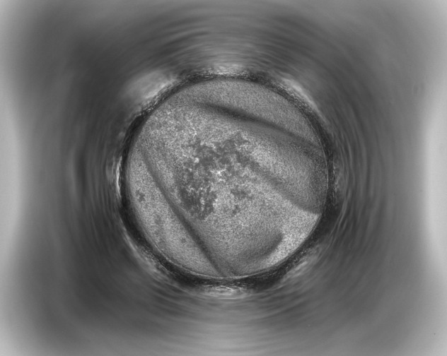 X0000087050542200705021158