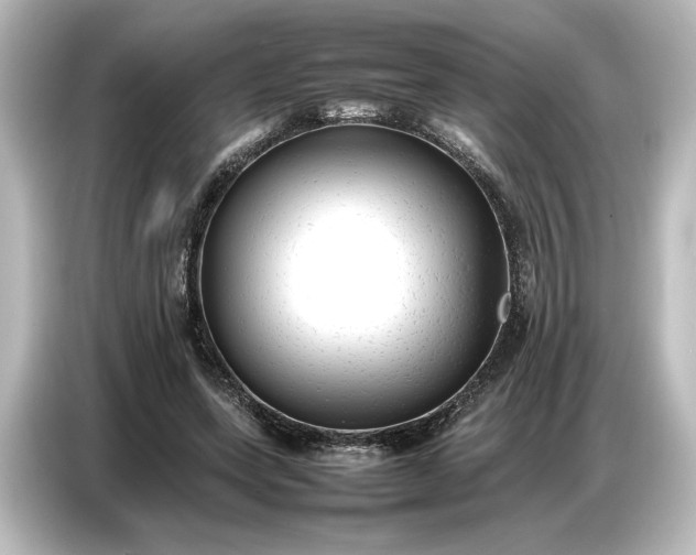 X0000087050543200705021158