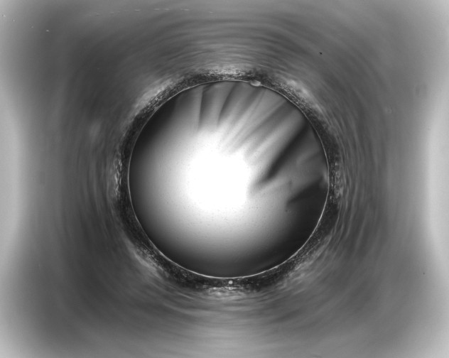 X0000087050544200705021158