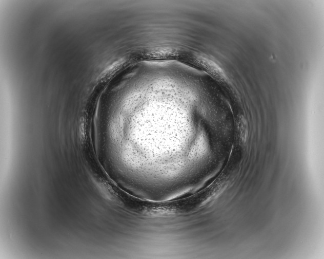 X0000087050546200705021158