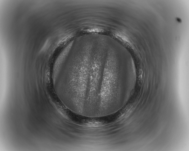 X0000087050547200705021158