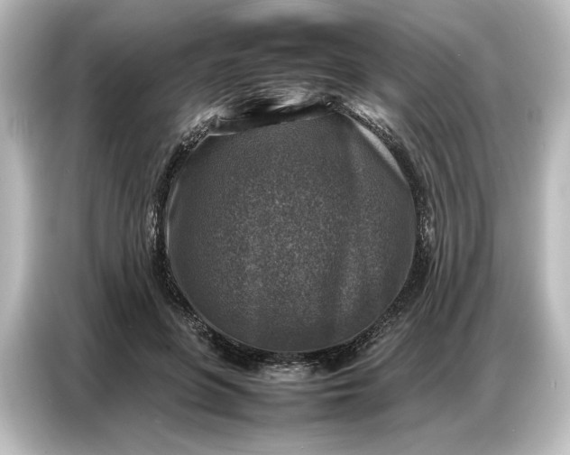 X0000087050551200705021158