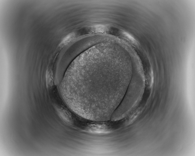 X0000087050552200705021158