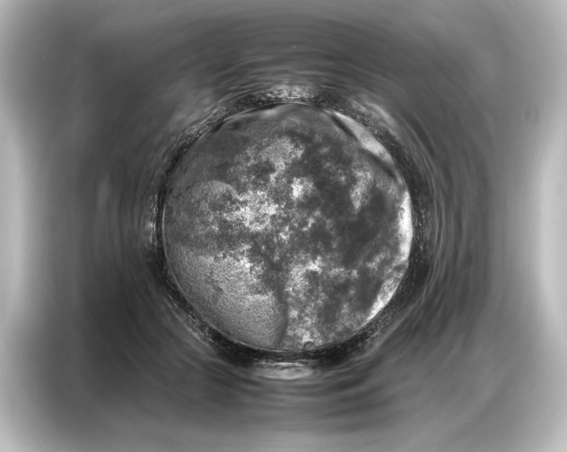 X0000087050553200705021158