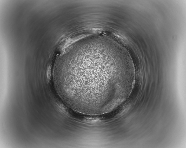 X0000087050554200705021158