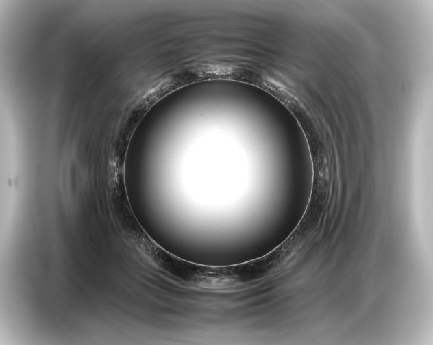 X0000087050555200705021158