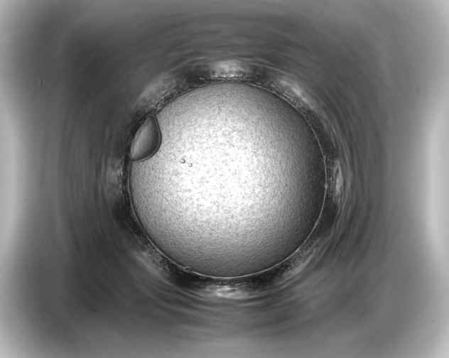 X0000087050557200705021159