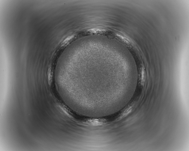 X0000087050558200705021159