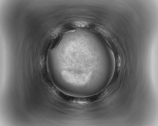 X0000087050559200705021159