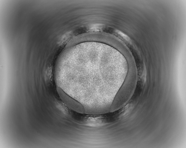 X0000087050560200705021159