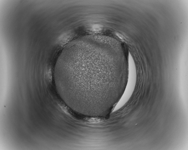 X0000087050562200705021159