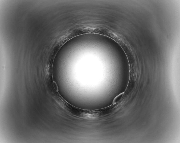 X0000087050563200705021159